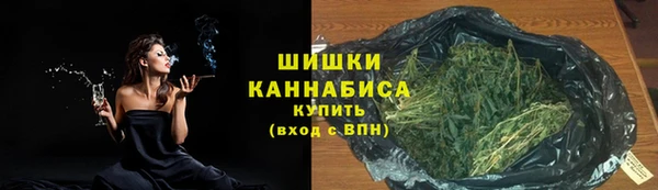 МДПВ Надым